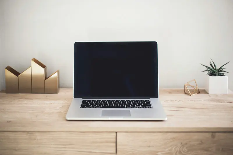 A silver laptop on a light wooden desk beside a small plant