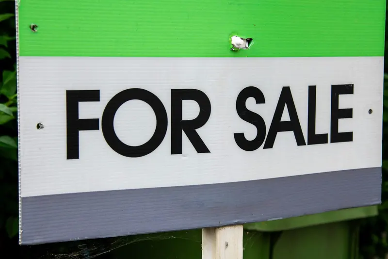 A green, white and gray yard sign with the words FOR SALE in large black letters, in front of green leaves